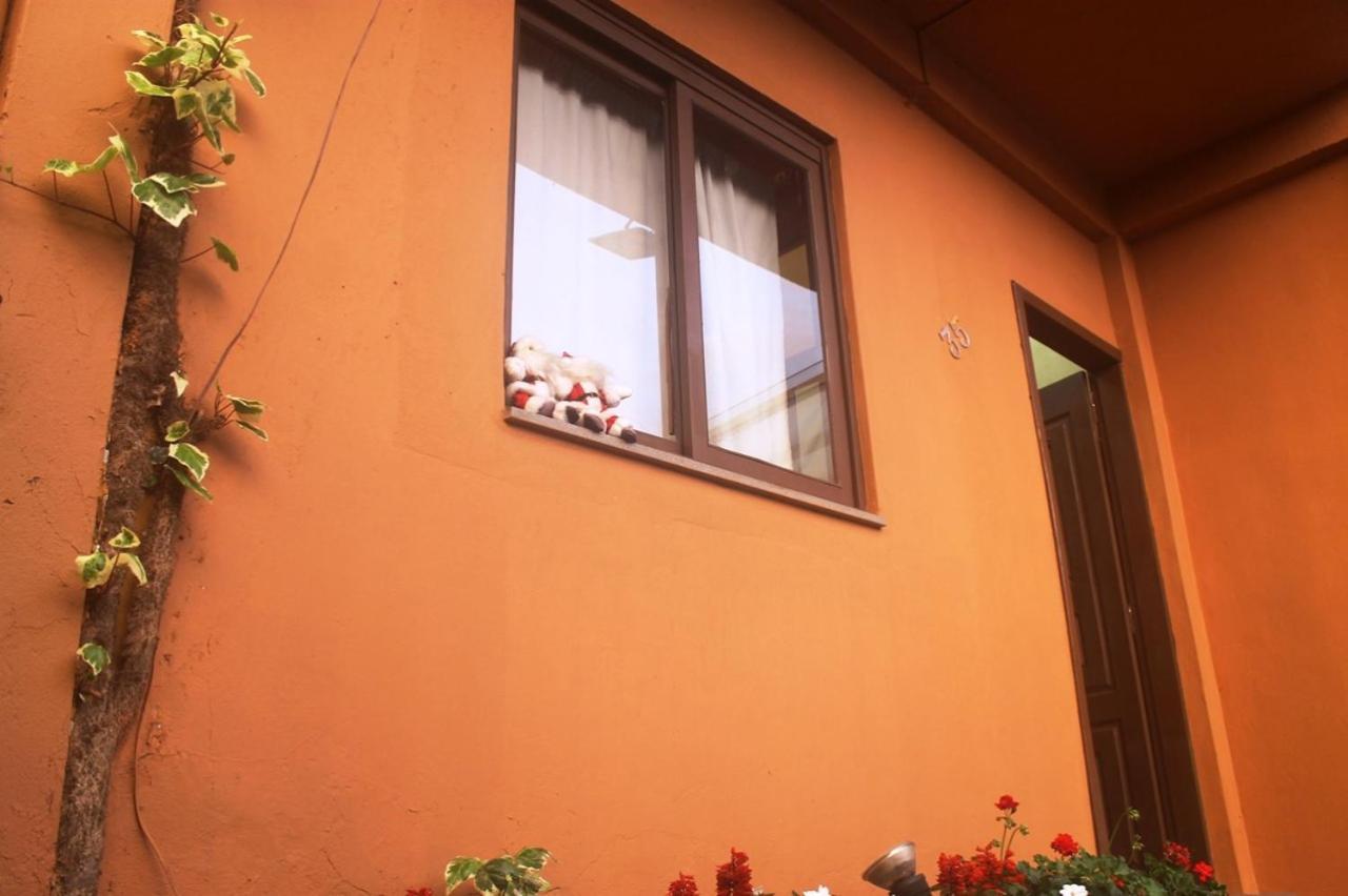 Residencial Dom Celeste 卡内拉 客房 照片